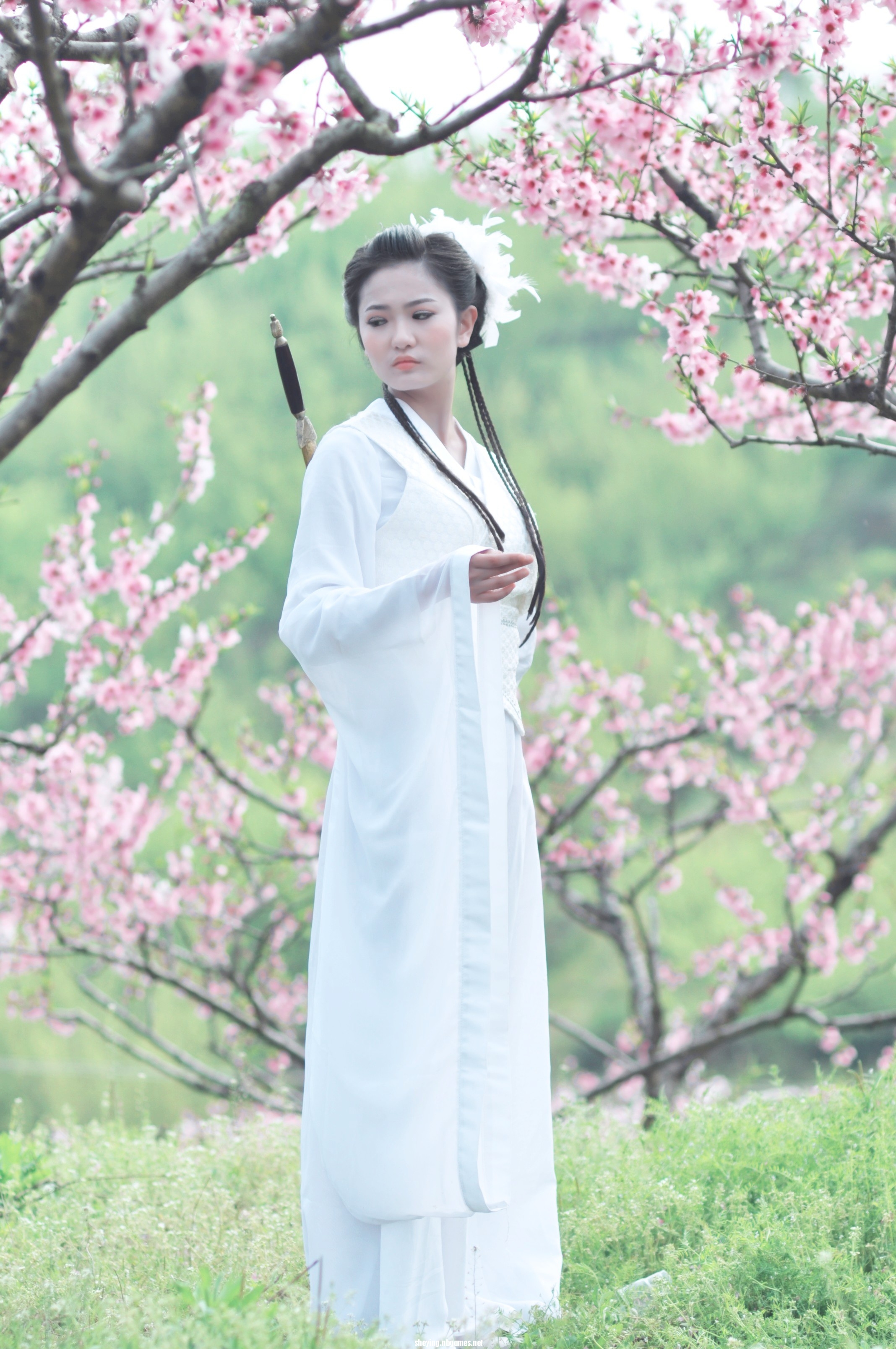 第1张