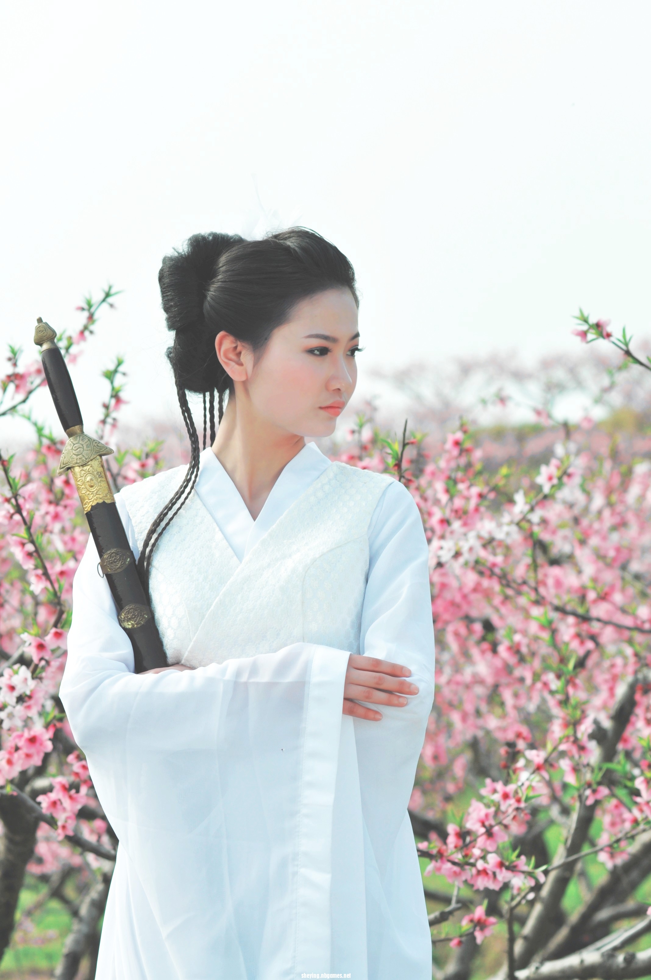 第5张
