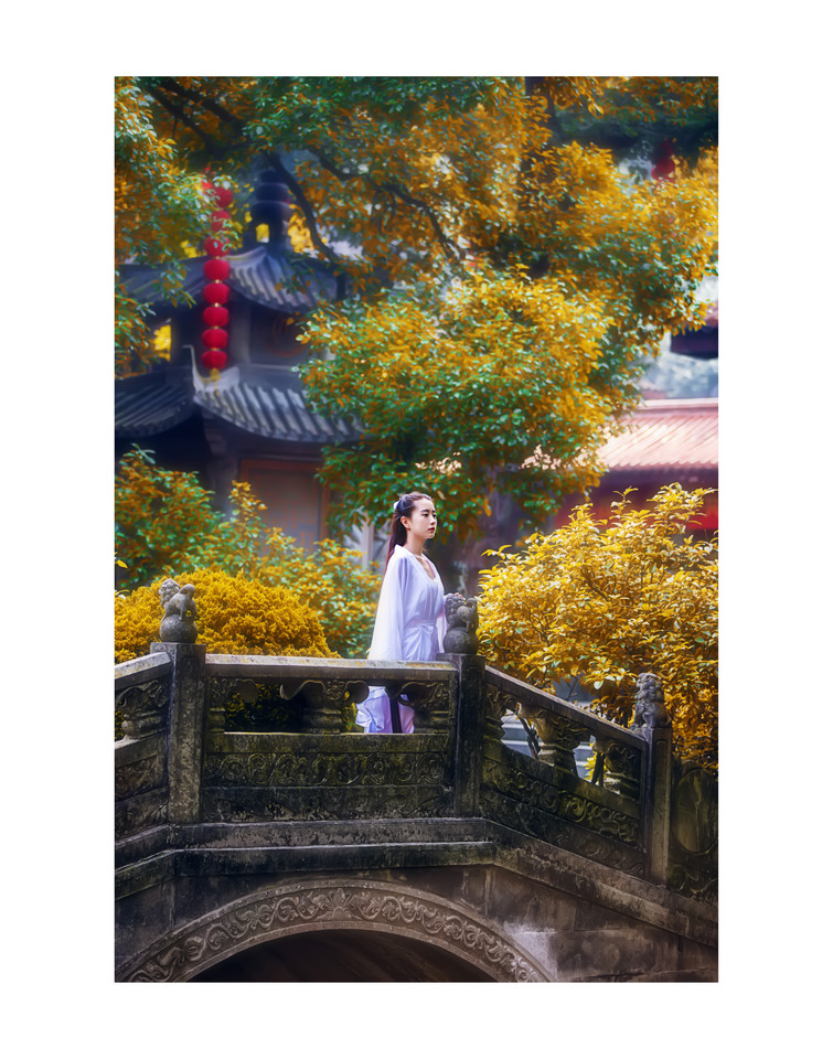第1张
