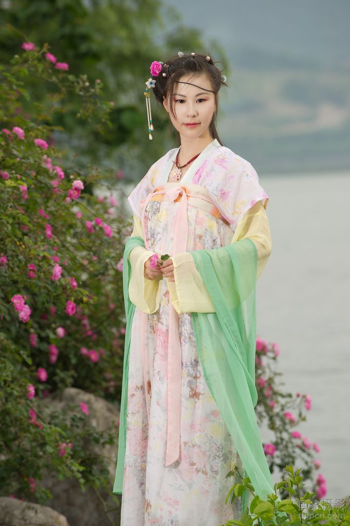 第3张