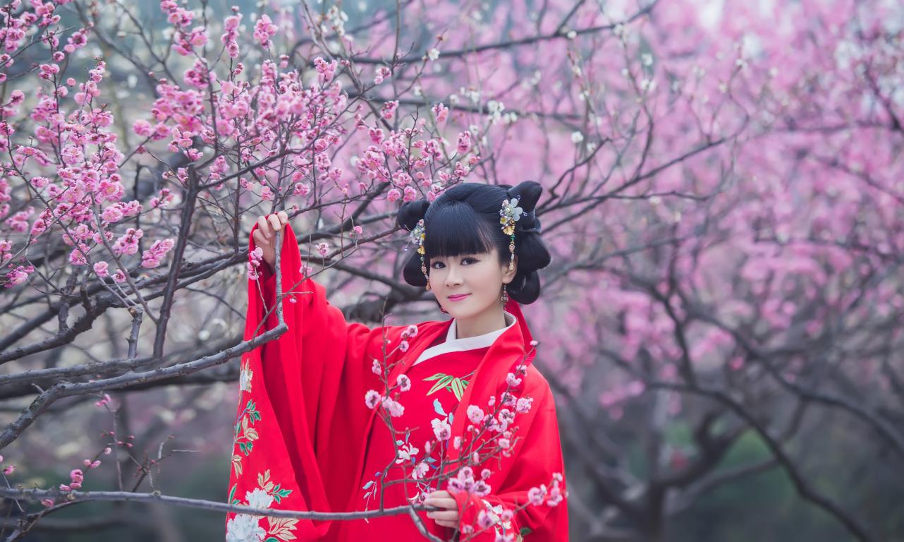 第5张