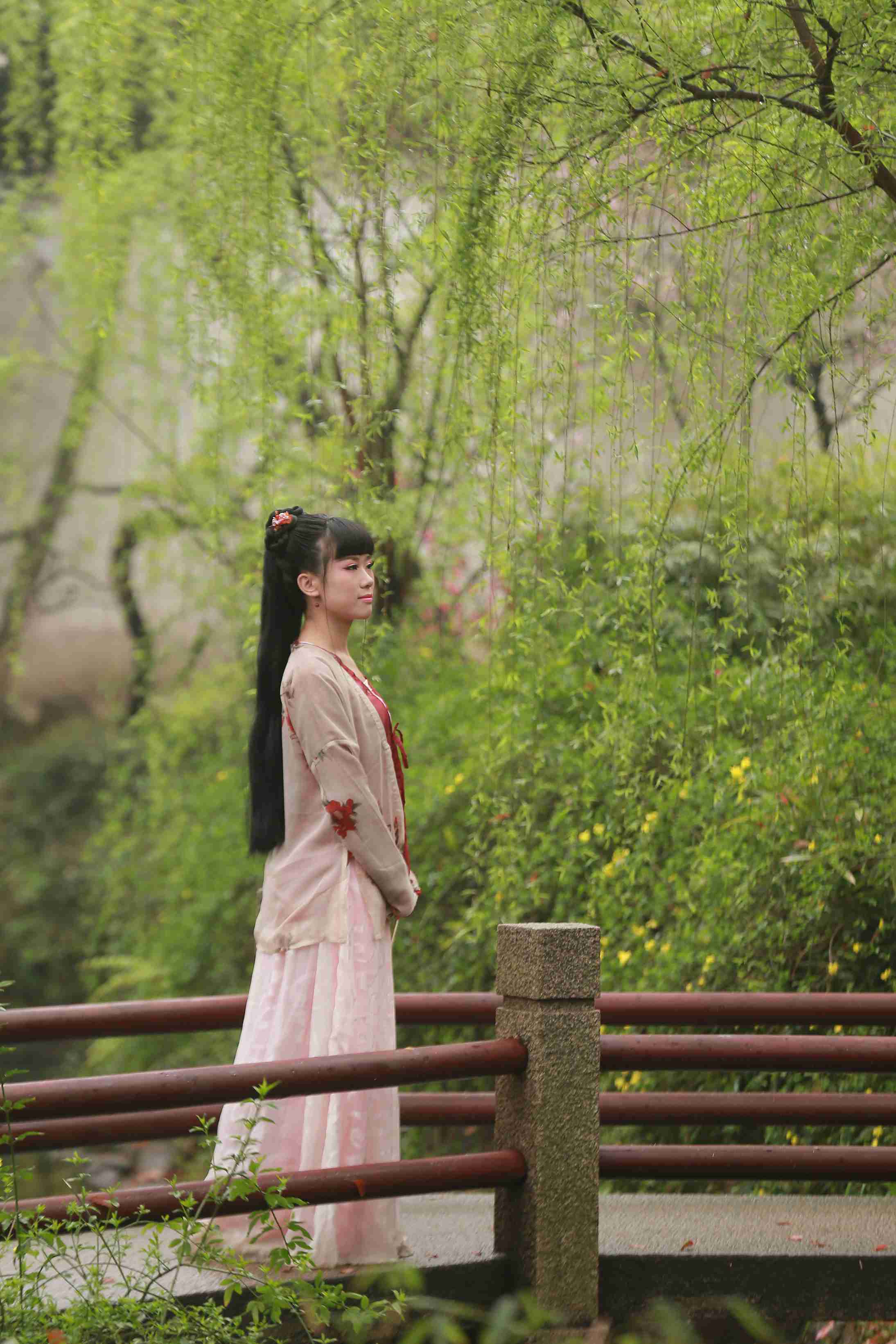 第3张