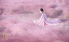 粉黛留芳万人羡