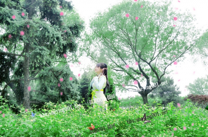 231238rozi1f7idd58ll2l.jpg