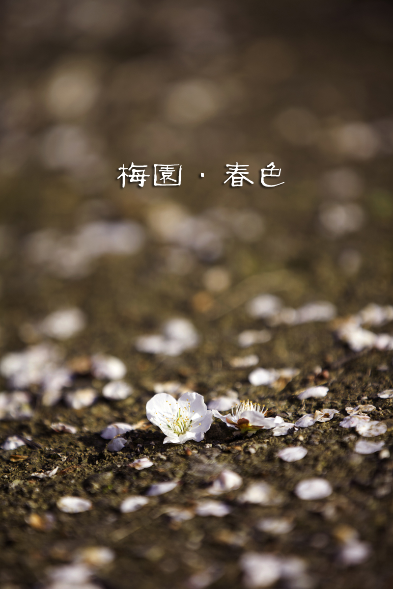 153650e48r7by9ckydb9gb.jpg