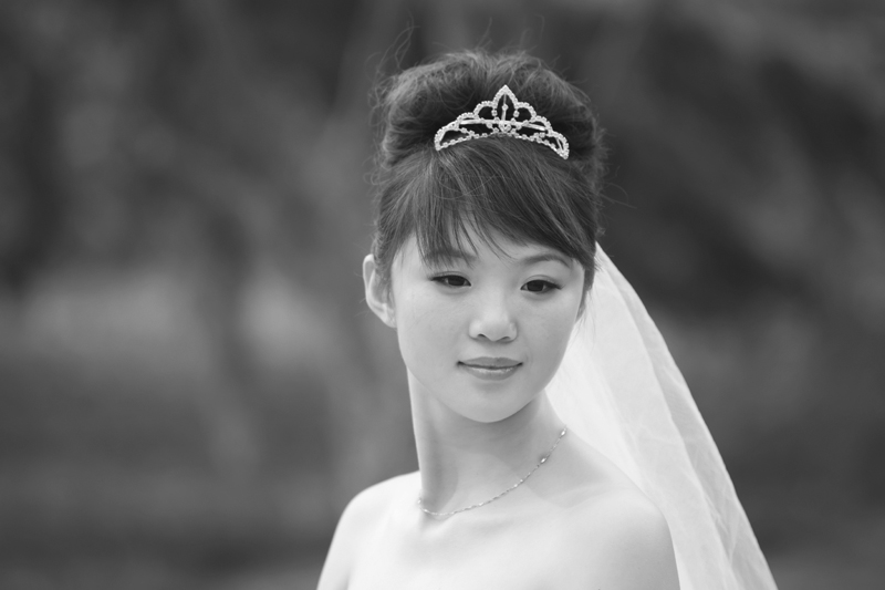 12217428.jpg