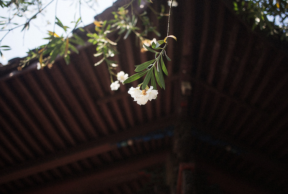 20150816_025926_515.jpg