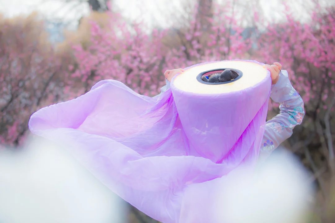 20160410_043920_604.jpg