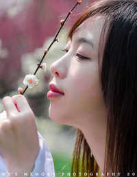 繁花纷落 听无声