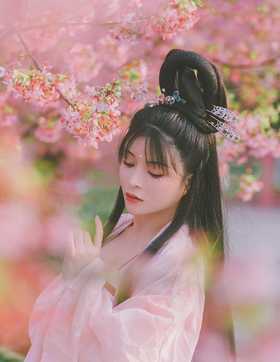 樱花将灿·冬尽风暖