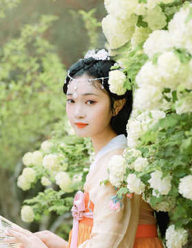 落遍杨花浑不觉，飞来蝴蝶忽成团