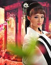 王的女人2