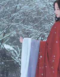 踏雪