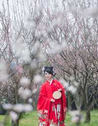 清辉阁花卿+虞美人外披