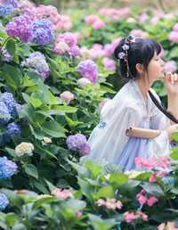 2022.5.11绣球花古风人像