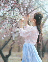 杏花零落香