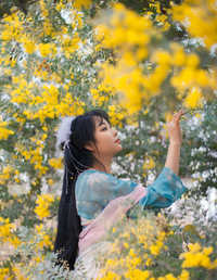 金合欢花古风人像