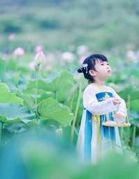 荷满池塘花满枝