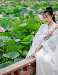 荷花&#8226;古装&#8226;美女