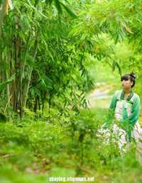 每周一妹子之------竹林古装----婷婷/小娅