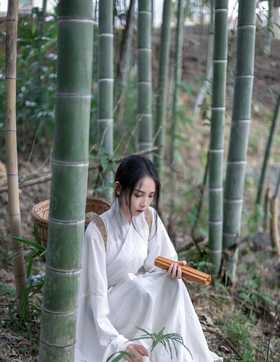 竹林采药