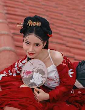 不过是大梦一场空，不过是孤影照惊鸿