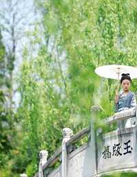 你一句春不晚，我就到了真江南