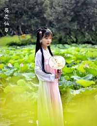 美丽荷花仙女