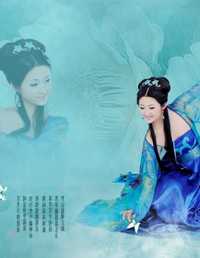 随蝶舞