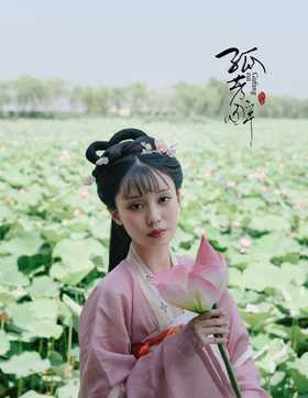 山有扶苏，隰有荷华