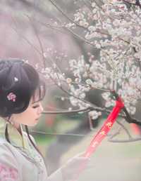 粉黛2