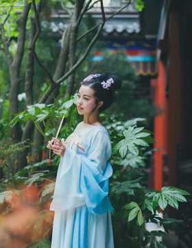 飞了