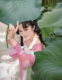 荷花仙