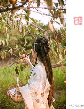 秋获