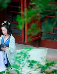 蓝汉