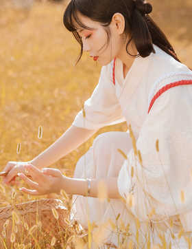 芦苇