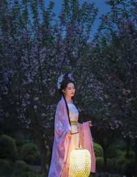 客片｜夜景汉服樱花写真