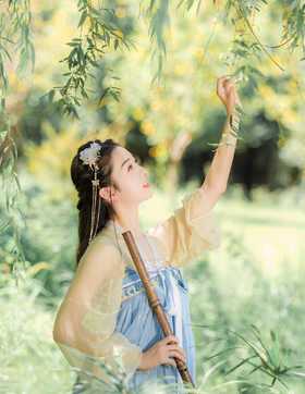 柳树下的妹子