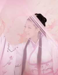 紫汉