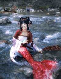 《锦鲤抄》