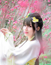 偶遇桃花，美如仙境