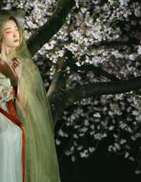 夜莺