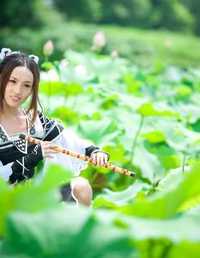 万花、蓝儒、小龙女