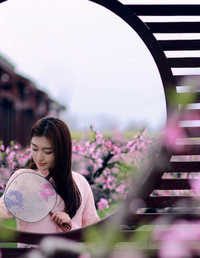 桃花梦