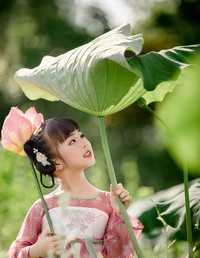 夏荷