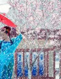 风雪伊人
