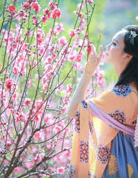 桃花依旧笑春风