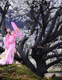灵山花开