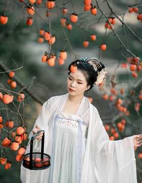 柿柿顺心