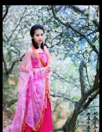 李花开时